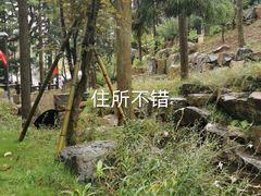 -溪口-滕头旅游景区