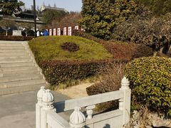 -梅园