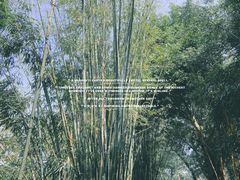 -晓港公园