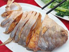 -蛇口康乐快餐鱼仔档(翠苑小区店)
