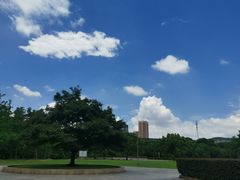 -武汉大学图书馆·文理学部总馆