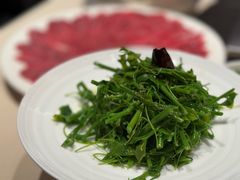 -龙森园火锅(琴台路店)