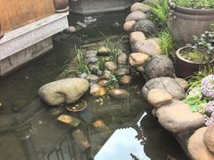 -小隐院子·庭院餐厅(大学城后湖店)