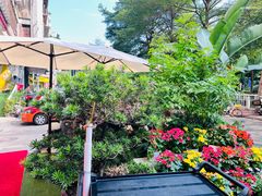 -山水茶艺馆·点心粤菜·30年老字号