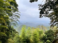-莫干山风景区
