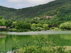 -长广溪湿地公园