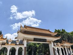 -深圳仙湖植物园