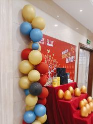 -碧莲盛·不剃发植发