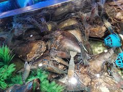 -V-ONE西雅图海鲜自助餐厅(仓山万达广场店)