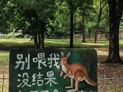 -合肥野生动物园