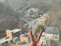 -栾川竹海野生动物园