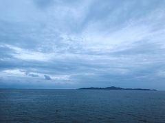 -卷心菜和避孕套餐厅(Pattaya)