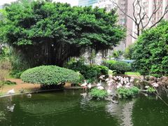 -九龙公园