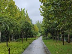 -大渡口区义渡公园