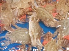 -映像威海·海鲜味道(经区店)