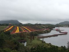 -东部华侨城