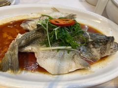 清蒸加州鲈-恒宝和宴(合生广场店)