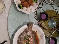 -鑫皇朝酒店(建设一路店)