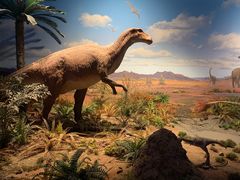 -贝林大翅鲸简餐厅(国家海洋博物馆店)