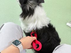 -北京观赏动物医院·24小时大型综合·猫专科·异宠专科