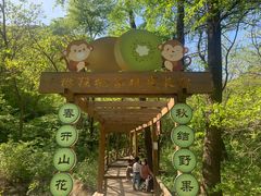 -大岭沟猕猴桃谷风景区