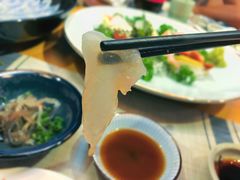 河豚鱼刺身-天正河鲀·河豚亭(大连店)