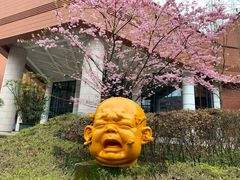 -黄桷坪涂鸦艺术街
