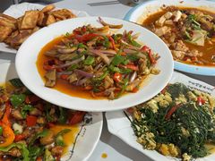 -煲来饱去冷水鱼