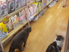-袖虎宠物(锦绣生态园店)