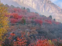 -狼牙山风景区