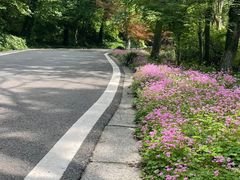 -南京老山国家森林公园