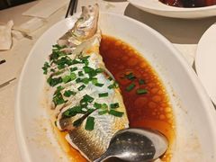 -金美华轩(东方路齐鲁店)