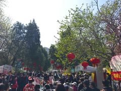 -千佛山风景名胜区