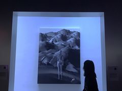 -杭州工艺美术博物馆