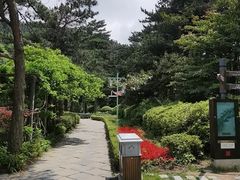 -庐山风景区花径公园