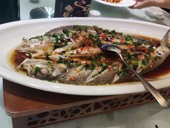 -洞庭渔人(沙湾店)