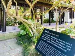 -红梅公园