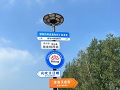 -白洋淀风景区
