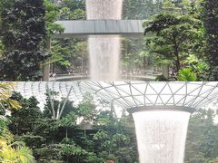 -爱雍·乌节