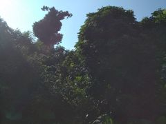 -巨鹏飞梦幻水世界