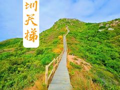 -梅沙尖