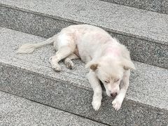 -海乐健康美食·SPA水疗会(水都假日酒店)
