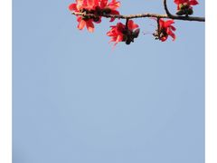 -攀枝花公园