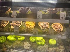 -滇野云南野生菌餐厅(陕西南路店)