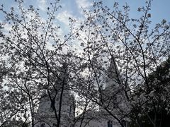 -团城山公园