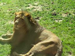 -北京野生动物园
