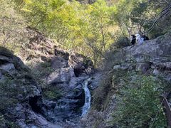 -云岫谷游猎自然风景区