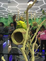 -未来动物城主题公园(正弘城店)