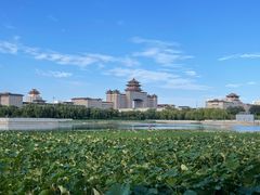 -莲花池公园