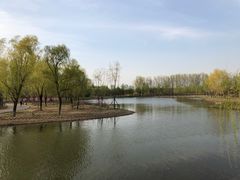 -东郊湿地公园